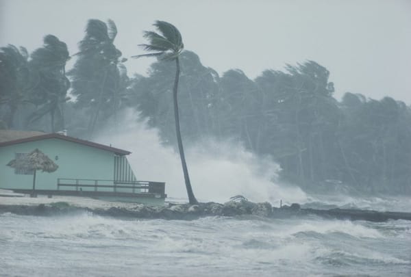Typhoons, Floods, and Inequality: The Human Cost of Climate Change